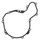 Ignition cover gasket WINDEROSA 816134
