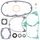 Complete Gasket Kit with Oil Seals WINDEROSA 811320