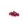 Screws PUIG ANODIZED 0657R rdeč M6 x 20mm (6pcs)