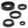 Engine Oil Seal Kit WINDEROSA 822217
