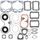Complete Gasket Kit with Oil Seals WINDEROSA 711280