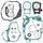 Complete Gasket Kit with Oil Seals WINDEROSA 811888