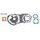 Set tesnil motorja RMS 100682500