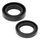 Engine Oil Seal Kit WINDEROSA 55168