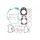 Complete gasket kit WINDEROSA 8080023 without seals