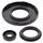Engine Oil Seal Kit WINDEROSA 55216