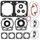 Complete Gasket Kit with Oil Seals WINDEROSA 711178