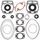 Complete Gasket Kit with Oil Seals WINDEROSA 711165A