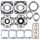 Complete Gasket Kit with Oil Seals WINDEROSA 711158
