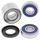 Wheel Bearing Kit All Balls Racing 25-1729