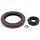Engine Oil Seal Kit WINDEROSA 822156