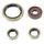 Engine Oil Seal Kit WINDEROSA 822374