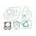 Celoten set tesnil za motor ATHENA P400250850303