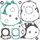 Complete Gasket Kit with Oil Seals WINDEROSA 811817