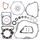 Complete Gasket Kit with Oil Seals WINDEROSA 811460