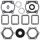Complete Gasket Kit with Oil Seals WINDEROSA 711147C