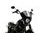 Semifairing PUIG DARK NIGHT 21095H smoke
