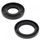 Engine Oil Seal Kit WINDEROSA 55166