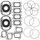 Complete Gasket Kit with Oil Seals WINDEROSA 711196