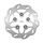 Zavorni disk NG 1313X