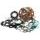 Bottom end kit HOT RODS CBK0138