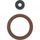 Engine Oil Seal Kit WINDEROSA 822001