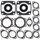 Complete Gasket Kit with Oil Seals WINDEROSA 711059