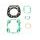 TOPEND set tesnil za motor ATHENA P400250600499