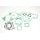 Celoten set tesnil za motor ATHENA P400210850082