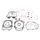 Complete Gasket Kit with Oil Seals WINDEROSA 811997
