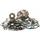 Bottom end kit HOT RODS CBK0023