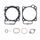 Set tesnil za motor ATHENA P400210160061 for Athena Big Bore Cylinder kit