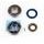 Ležaji in tesnila za glavno gred (Crankshaft rebuilding kit) ATHENA P400270444013