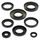 Engine Oil Seal Kit WINDEROSA 822253