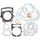 Complete gasket kit WINDEROSA 8080048 without seals