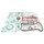 Complete Gasket Kit with Oil Seals WINDEROSA 711324