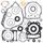 Complete Gasket Kit with Oil Seals WINDEROSA 811941