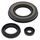 Engine Oil Seal Kit WINDEROSA 55198