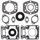 Complete Gasket Kit with Oil Seals WINDEROSA 711063A