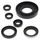 Engine Oil Seal Kit WINDEROSA 822262