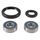 Wheel Bearing Kit All Balls Racing 25-1746