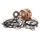 Bottom end kit HOT RODS CBK0106