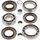 Differential Seal Only Kit All Balls Racing 25-2080-5