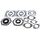 Complete Gasket Kit with Oil Seals WINDEROSA 711157
