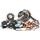 Bottom end kit HOT RODS CBK0142