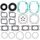 Complete Gasket Kit with Oil Seals WINDEROSA 711023A