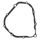 Ignition cover gasket WINDEROSA 816133