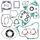 Complete Gasket Kit with Oil Seals WINDEROSA 811235