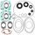 Complete Gasket Kit with Oil Seals WINDEROSA 711165D