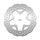 Zavorni disk NG 1036X